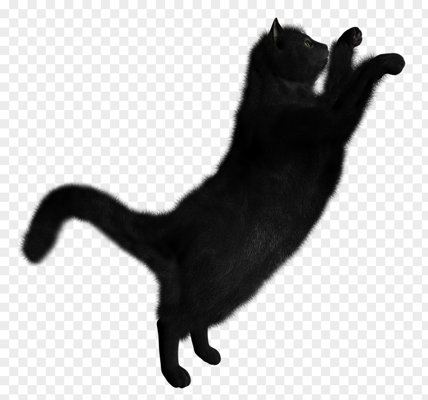 Hc Black Cat Clip Art Transparency PNG