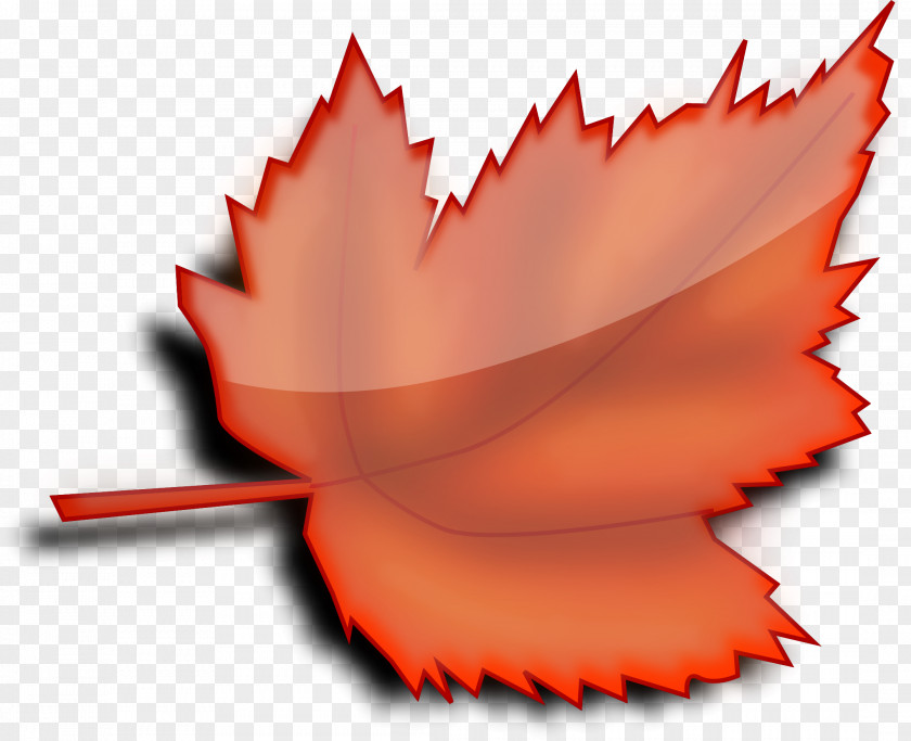 Leaf Desktop Wallpaper Clip Art PNG