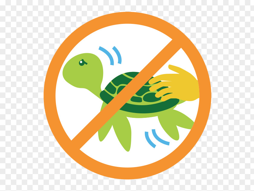 Marine Fish Wheat Allergy Gluten-related Disorders Food PNG