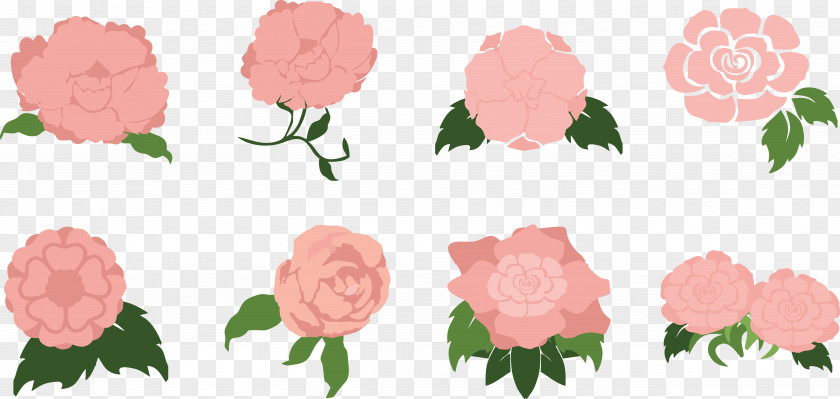 Silver Lotus Pink Sweet Garden Roses Anemone Coronaria Centifolia PNG