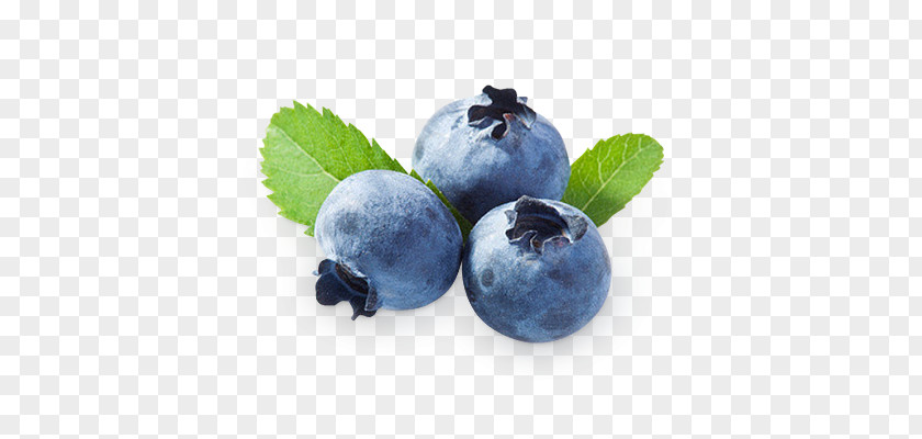 Blueberries PNG clipart PNG