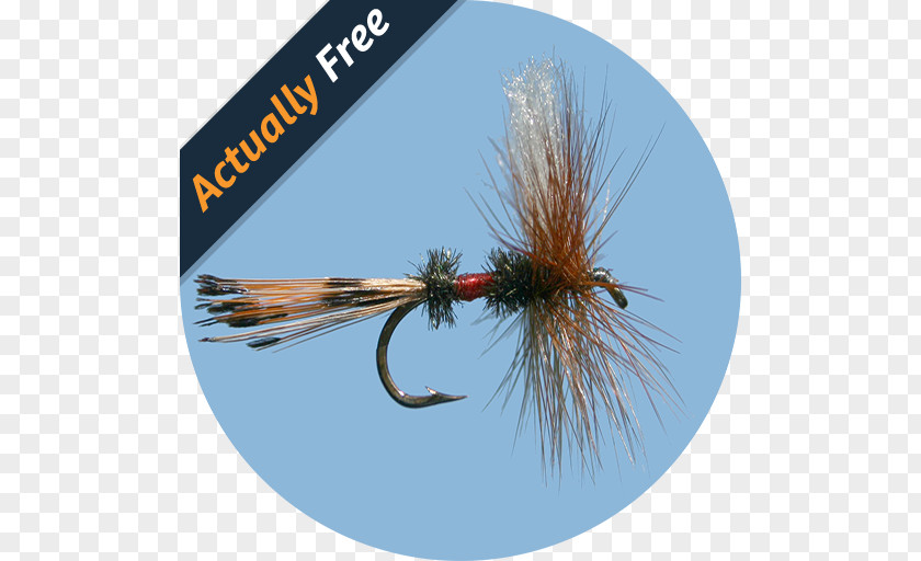 Flyfishinghd Fly Fishing Simulator HD Baits & Lures PNG