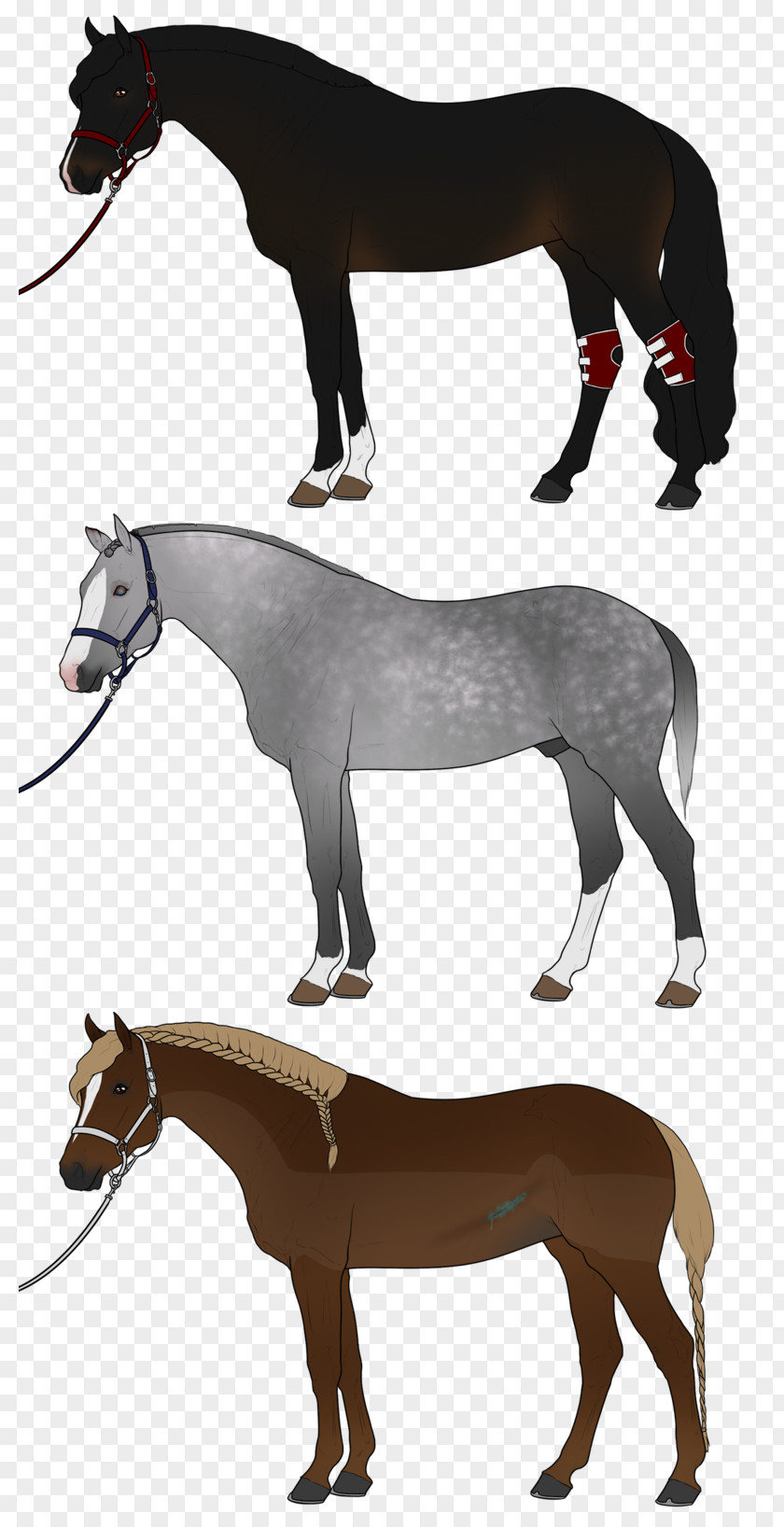 Horse Mule Stock Photography Clip Art PNG