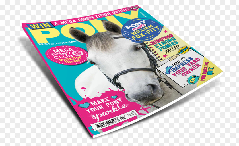 Horse PONY Magazine You Know How To Travel Animal PNG