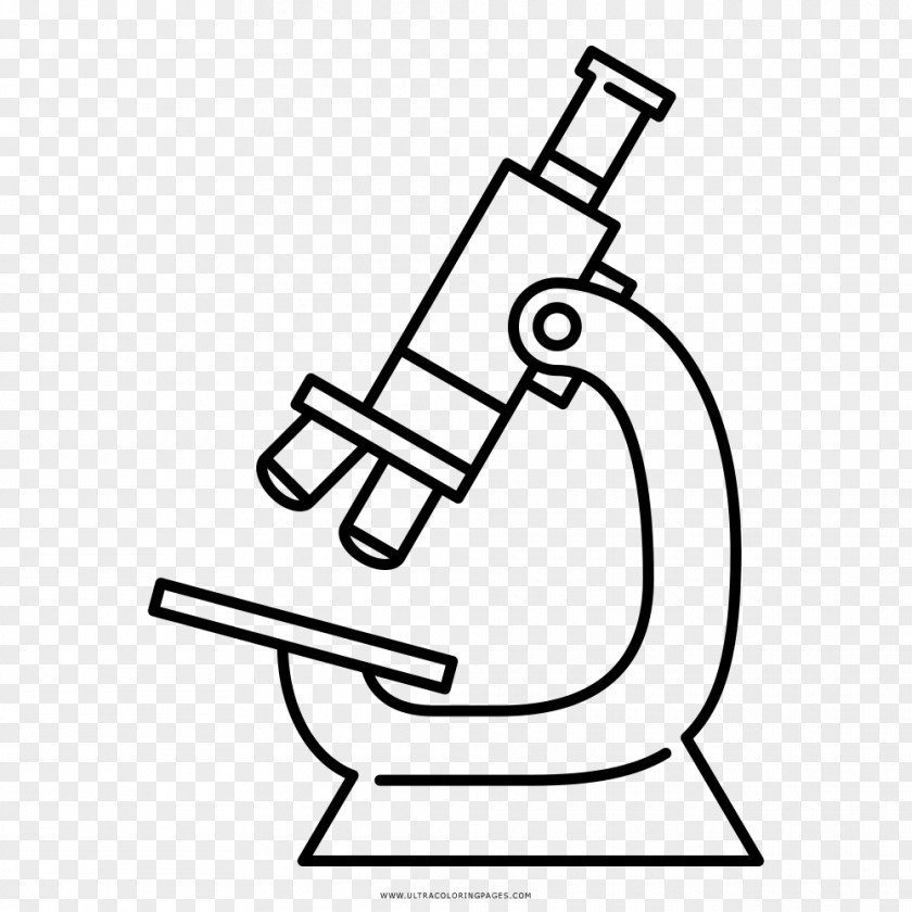 Microscope Drawing Optical Coloring Book PNG