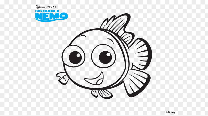 Nemo Drawing Marlin Dory Coloring Book PNG