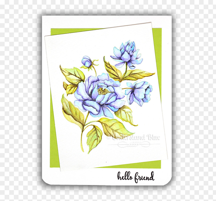 Painting Floral Design Watercolor 水彩色鉛筆 Drawing PNG