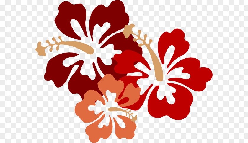 Red Hibiscus Hawaiian Flower Drawing Clip Art PNG