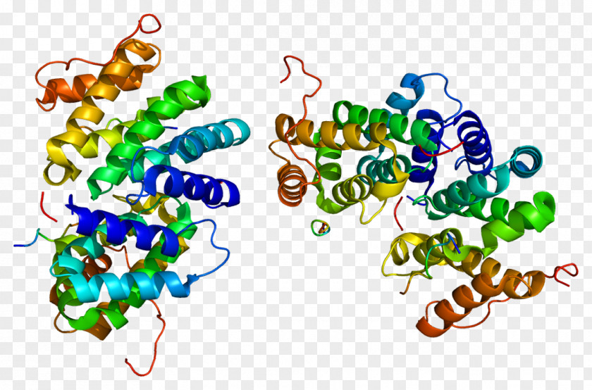 SENP1 GGA3 SUMO Protein Protease PNG