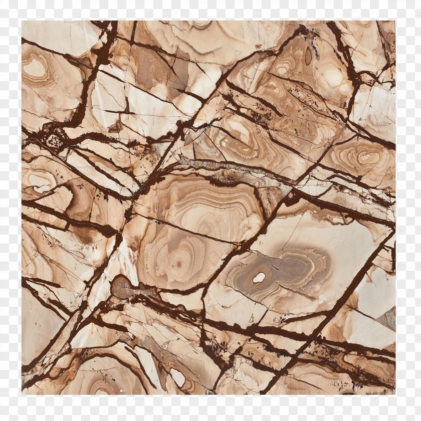 Bark Ring Marbling Free Pictures Marble Download PNG