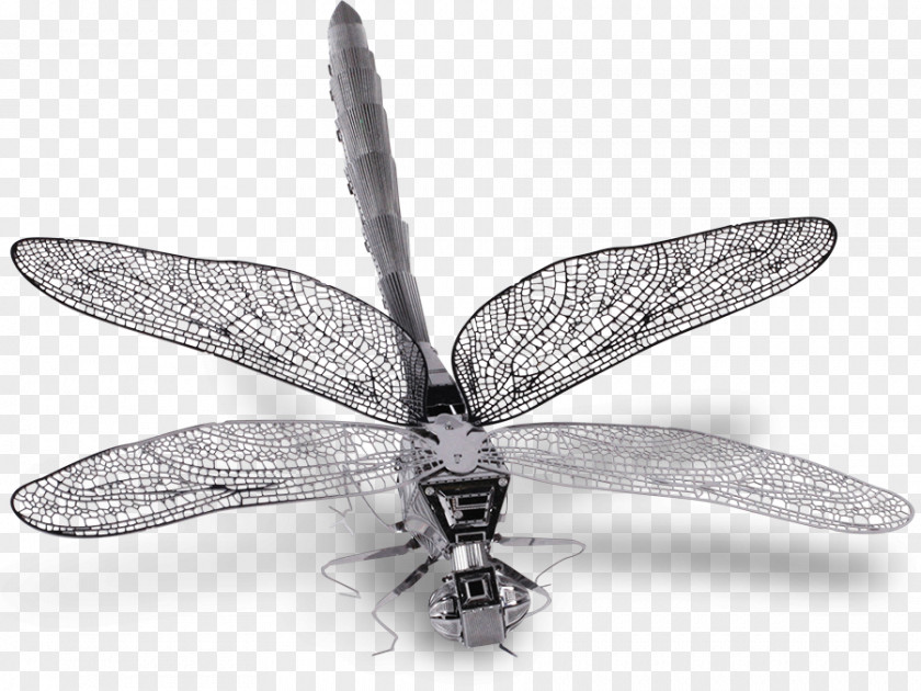 Dragon Fly Insect Wing Alkaline Earth Metal Dragonfly PNG