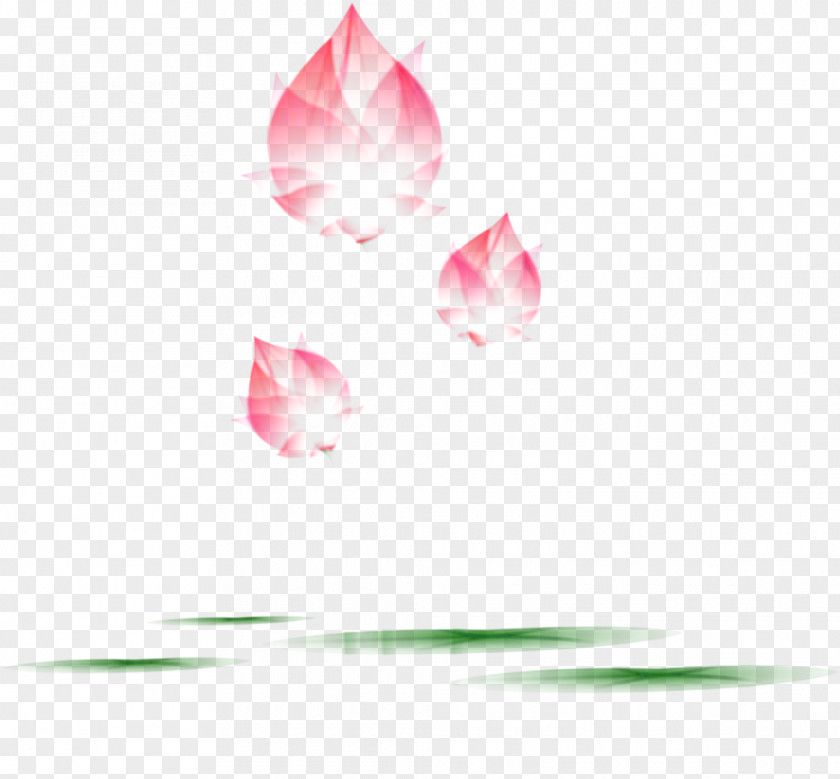 Petal Rose Family Desktop Wallpaper Pink M PNG
