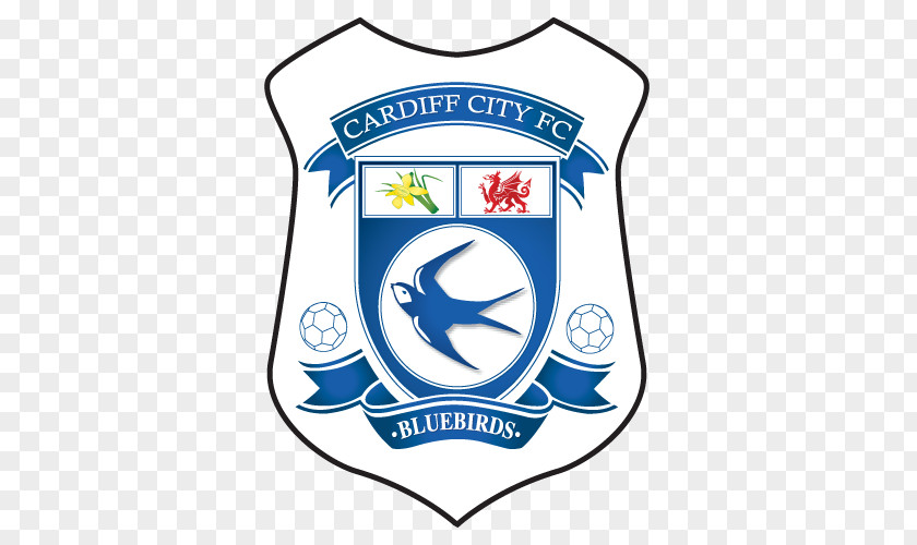 Premier League Cardiff City Stadium F.C. 2017–18 EFL Championship Football PNG