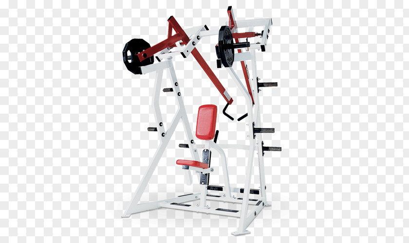 Strength Training Exercise Equipment Fitness Centre Bench Physical PNG