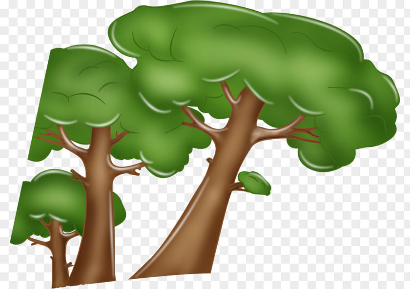 Tree Cartoon Image Drawing PNG