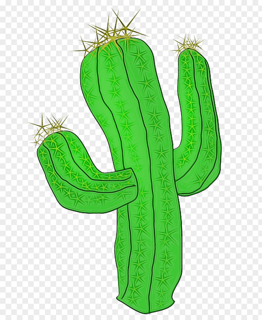 Cactus PNG