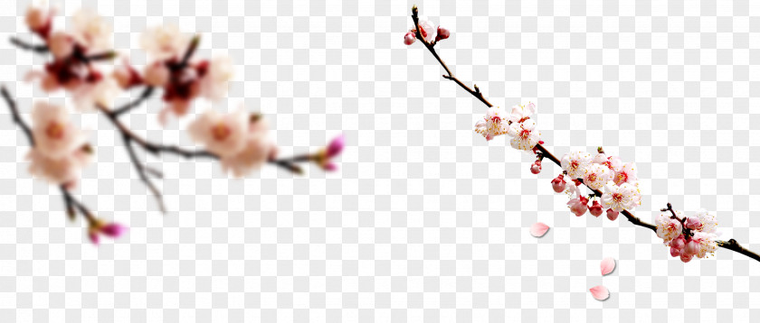 Plum Decorative Material Chinese New Year Computer File PNG