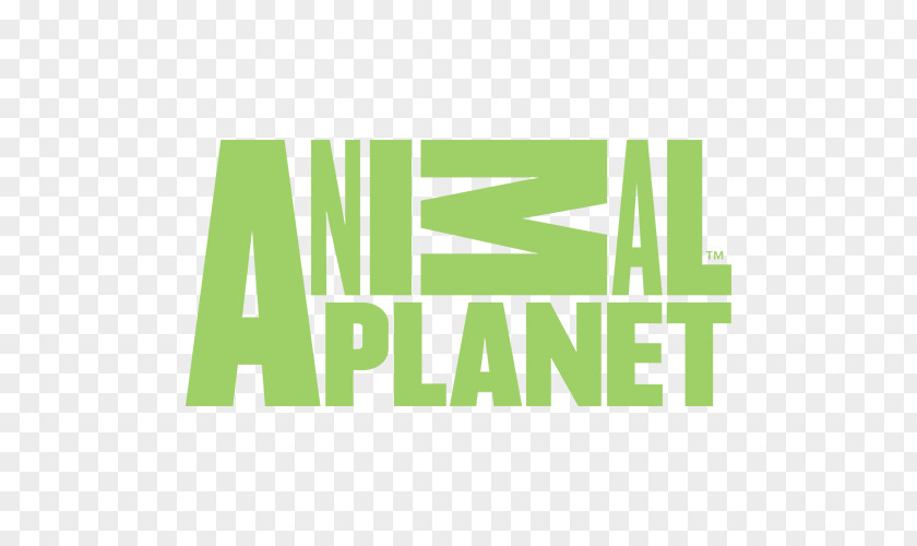 Animal Planet Logo Schoolagenda Brand Television Channel PNG