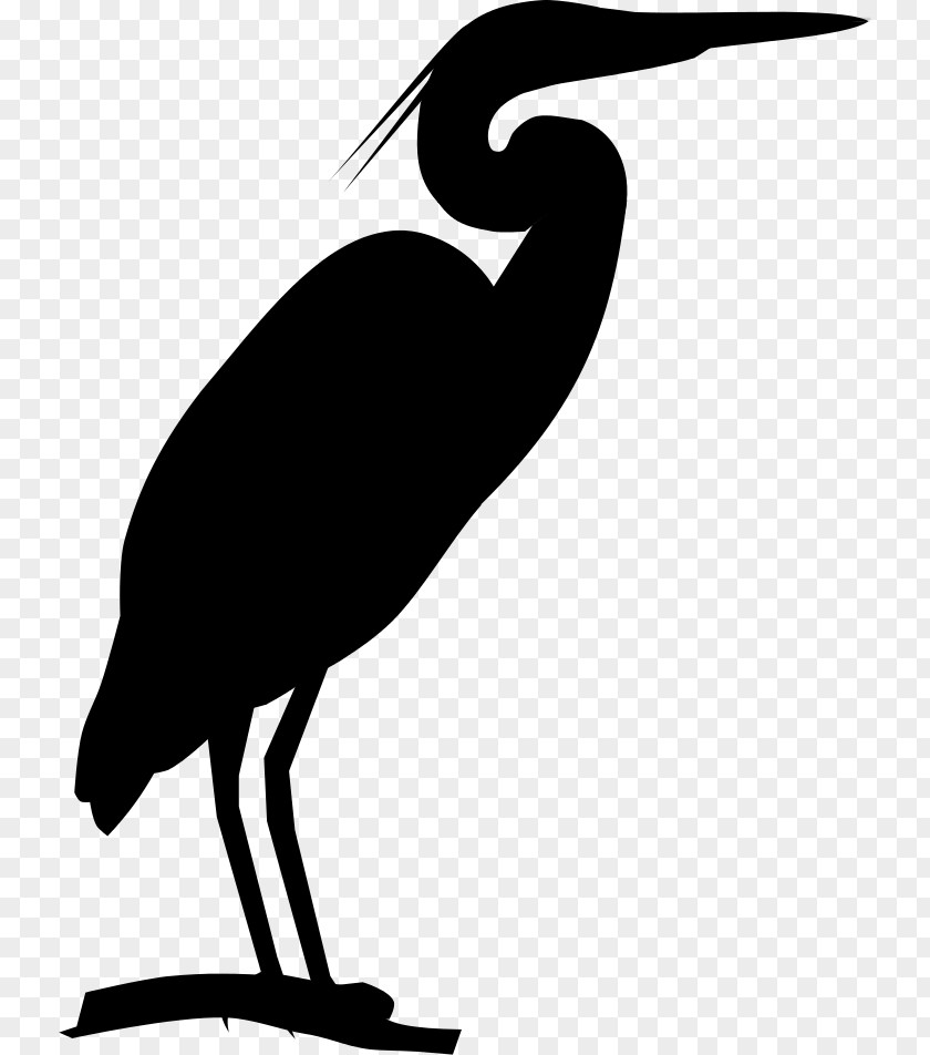 Bird Clip Art Beak Fauna Silhouette PNG