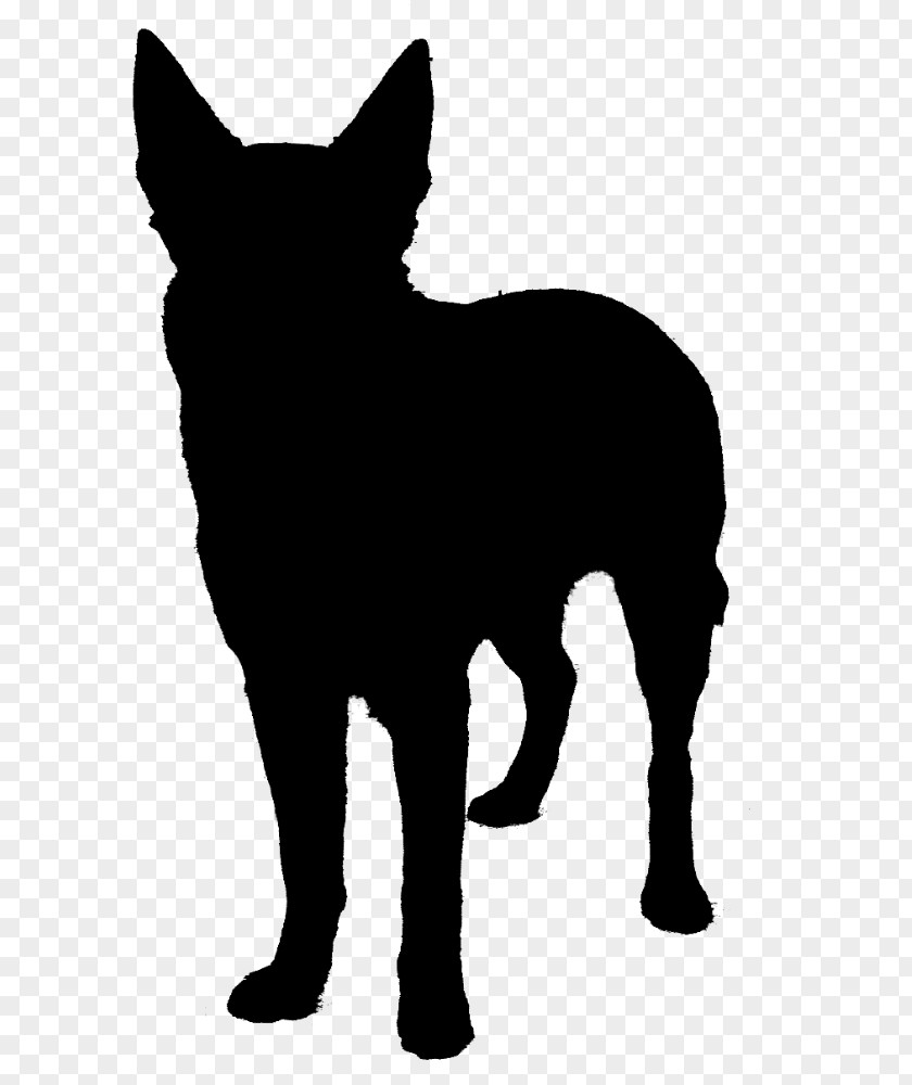 Dog Breed Can Stock Photo Silhouette Image Siberian Husky PNG