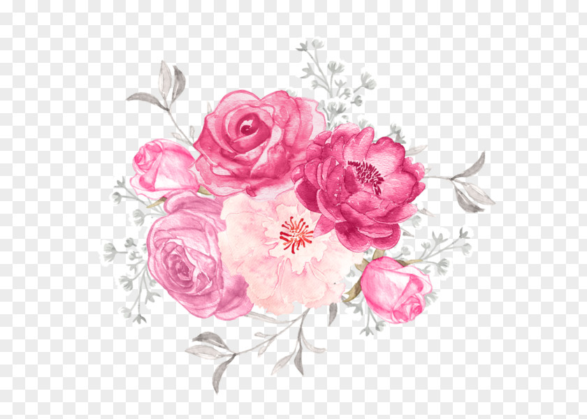 Flower Garden Roses Cut Flowers Floral Design Illustration PNG