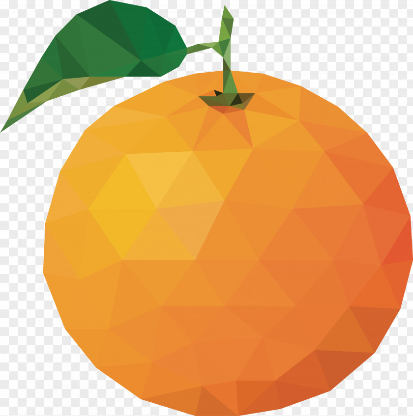 Orange Vector Design Juice Citrus Xd7 Sinensis Bitter PNG