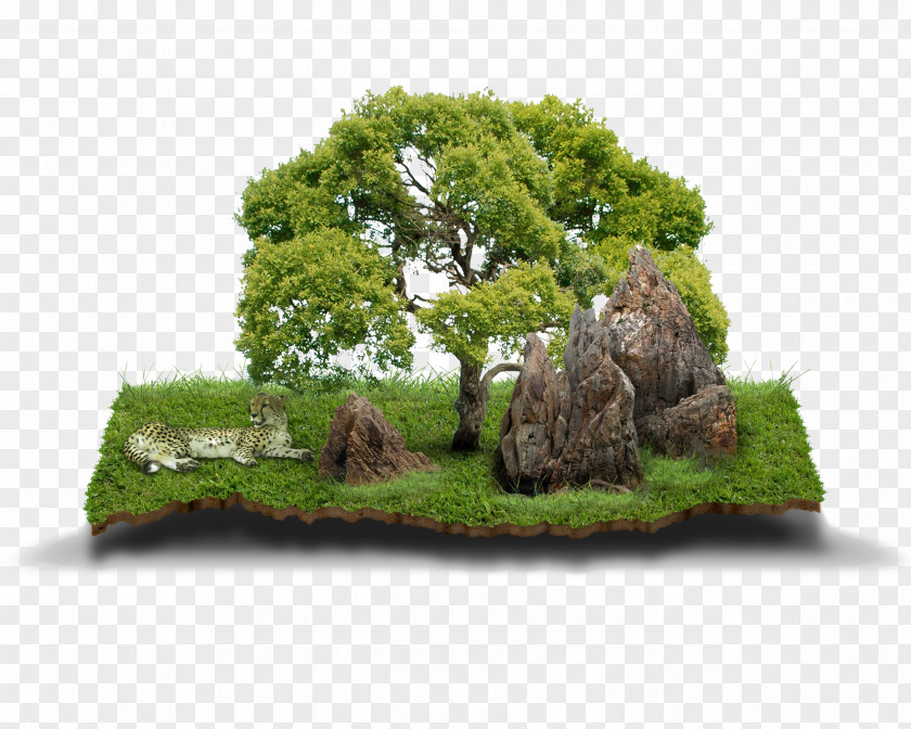Stone Mountain Material Bonsai Agricultural Land Agriculture House Lot PNG