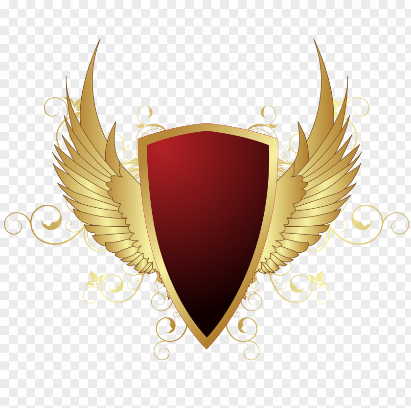 Wings Shield High Efficiency Video Coding Download Icon PNG