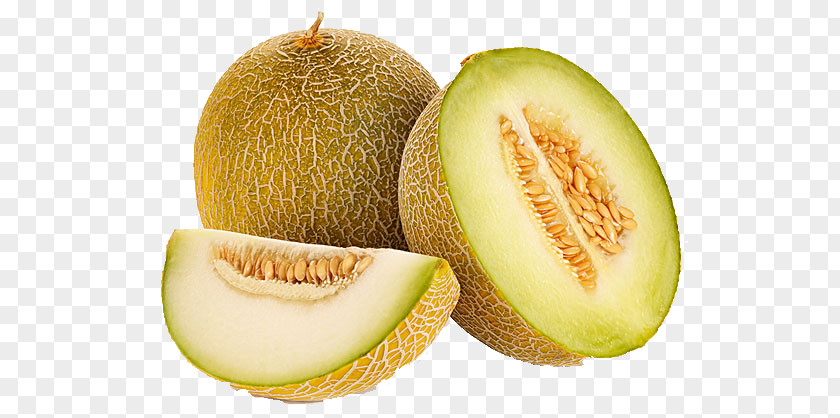 Melon Hami Cantaloupe Honeydew Galia PNG