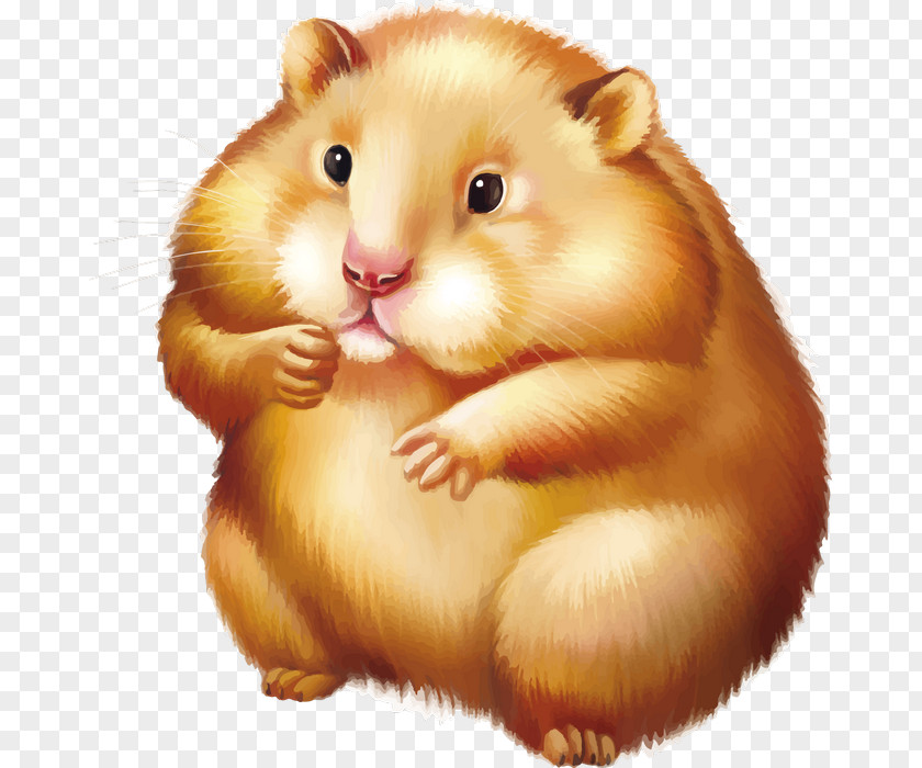 Mouse Golden Hamster Rodent PNG