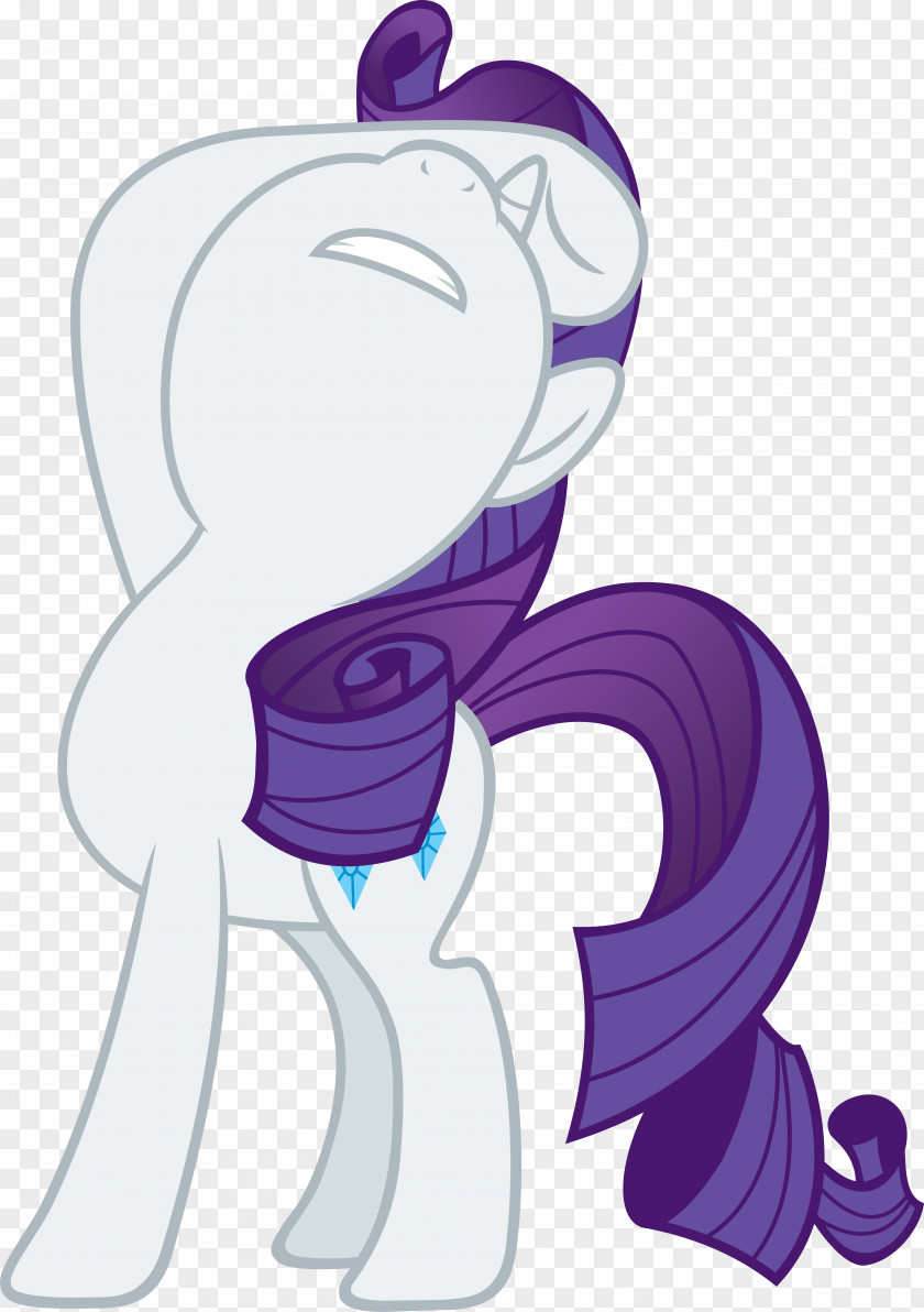 My Little Pony Rarity Rainbow Dash Pinkie Pie Twilight Sparkle PNG