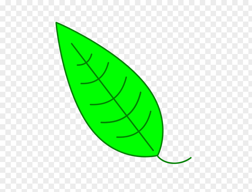 Simple Leaf Clip Art PNG