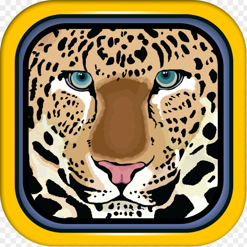 Cheetah Felidae Leopard Jaguar Tiger PNG