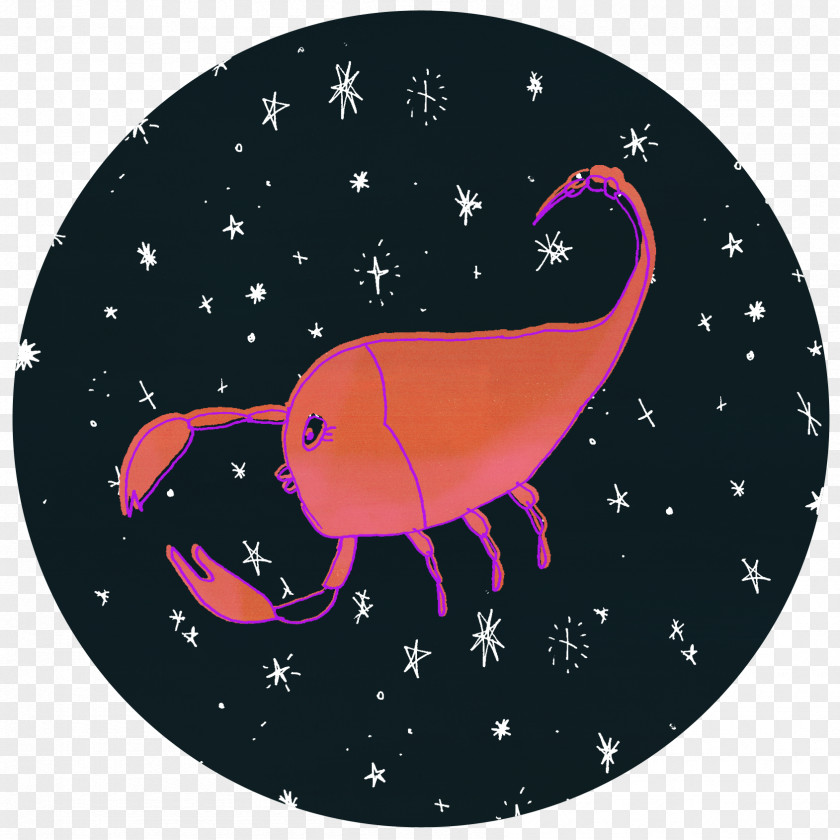 Scorpio Astrology Organism PNG