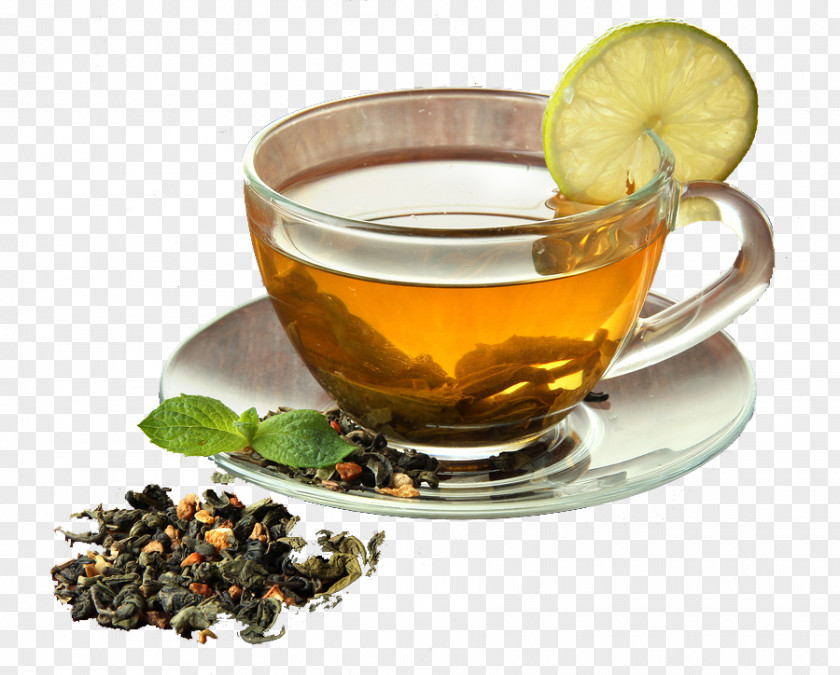Tea Green Herbal Coffee Drink PNG