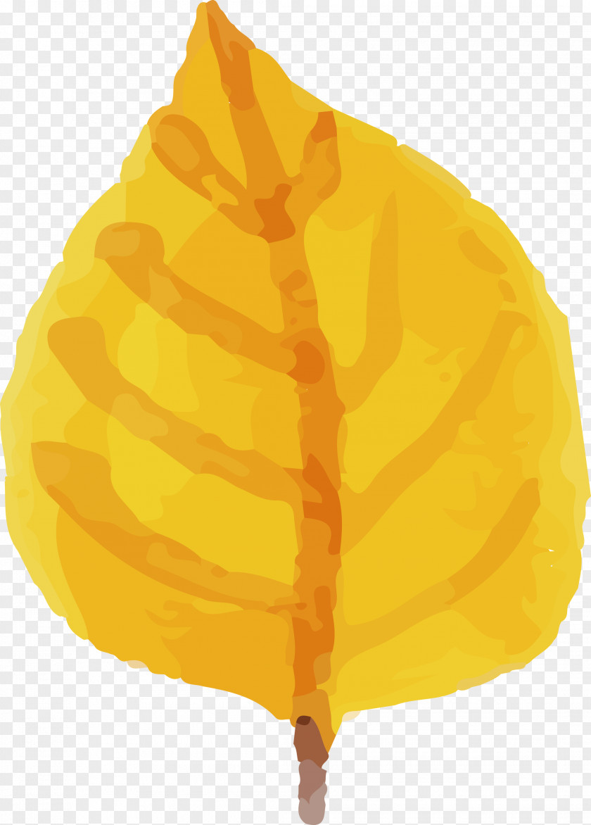 Yellow PNG