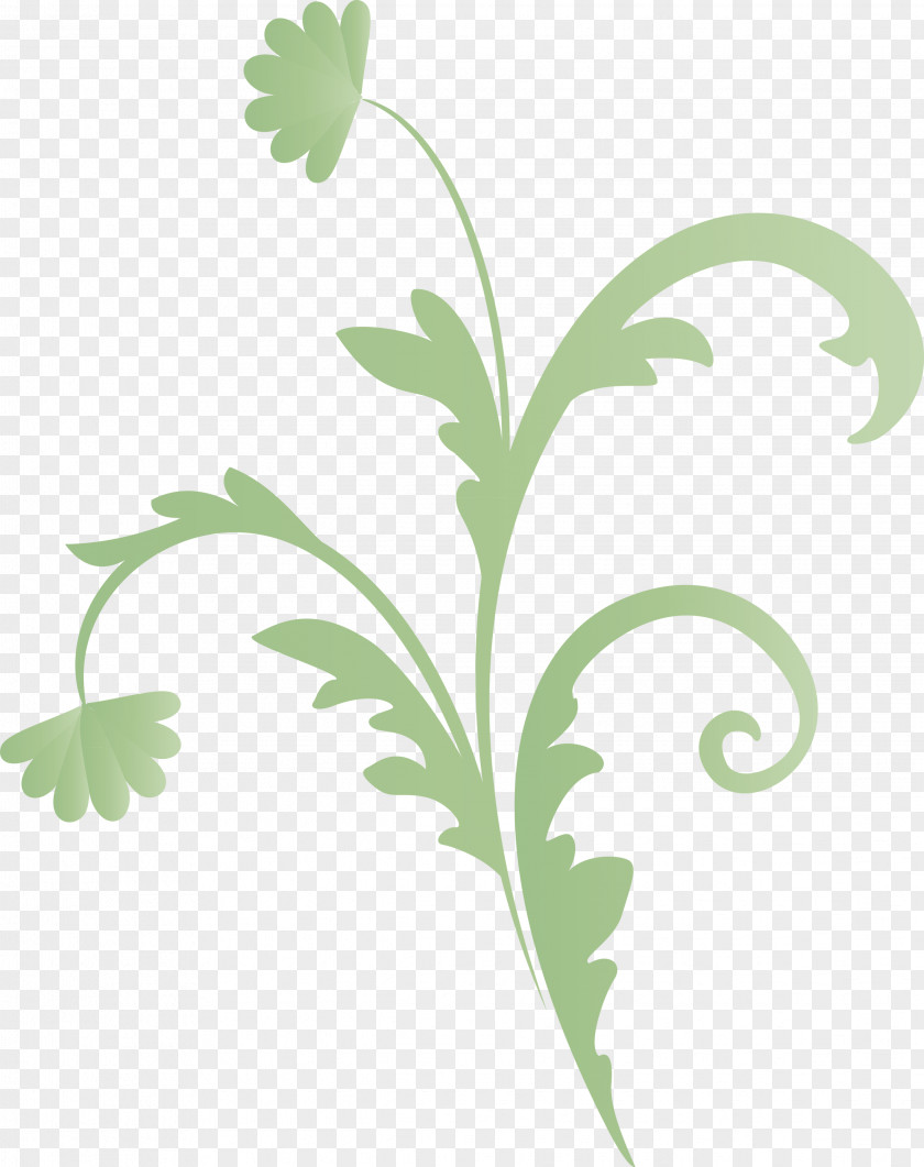 Flower Frame Floral PNG