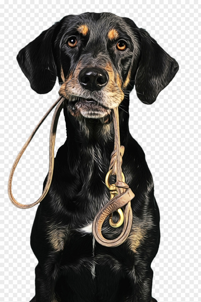 Guard Dog Hound And Cat PNG