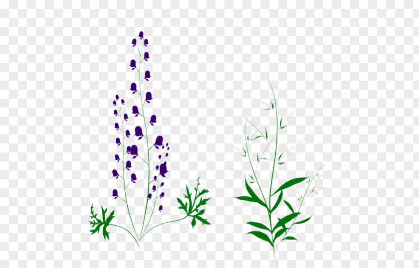 Leaf Lavender Grasses Plant Stem Font PNG