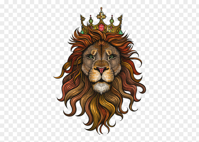 Lion Vector Graphics Simba Illustration Drawing PNG