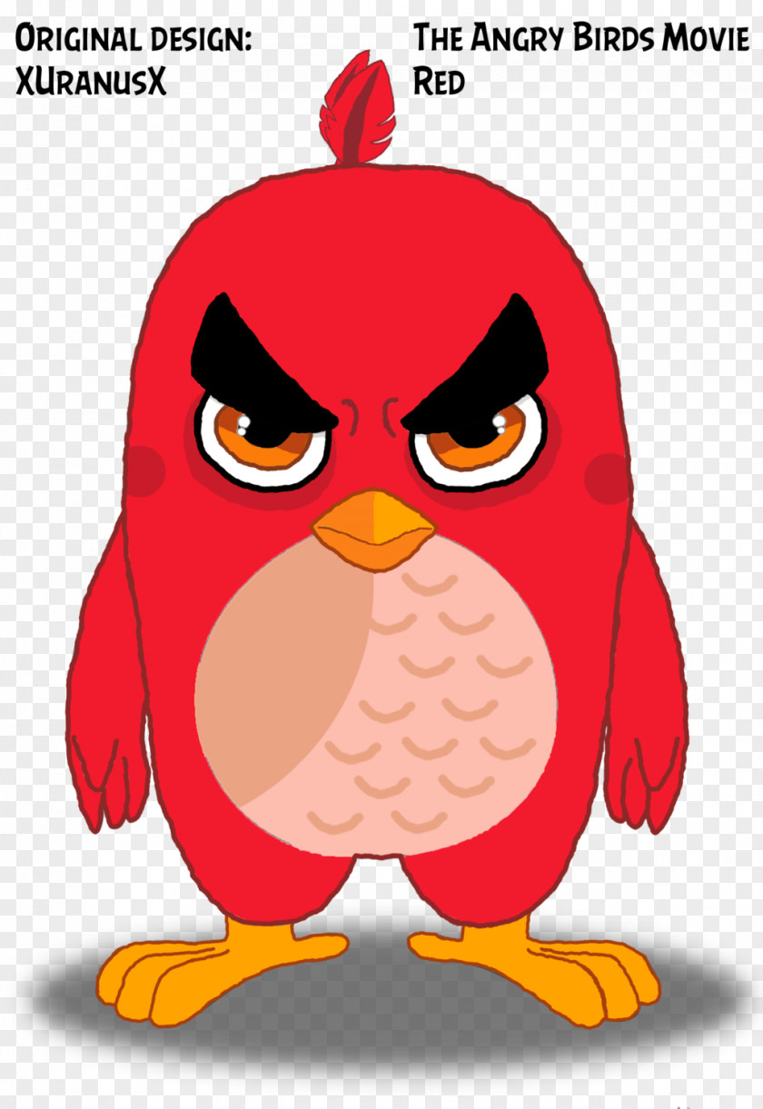 Owl Flightless Bird Clip Art PNG