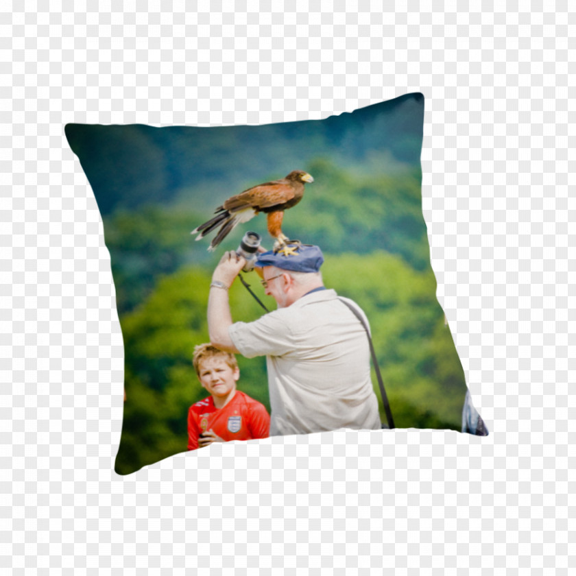 Pillow Throw Pillows Cushion Textile PNG