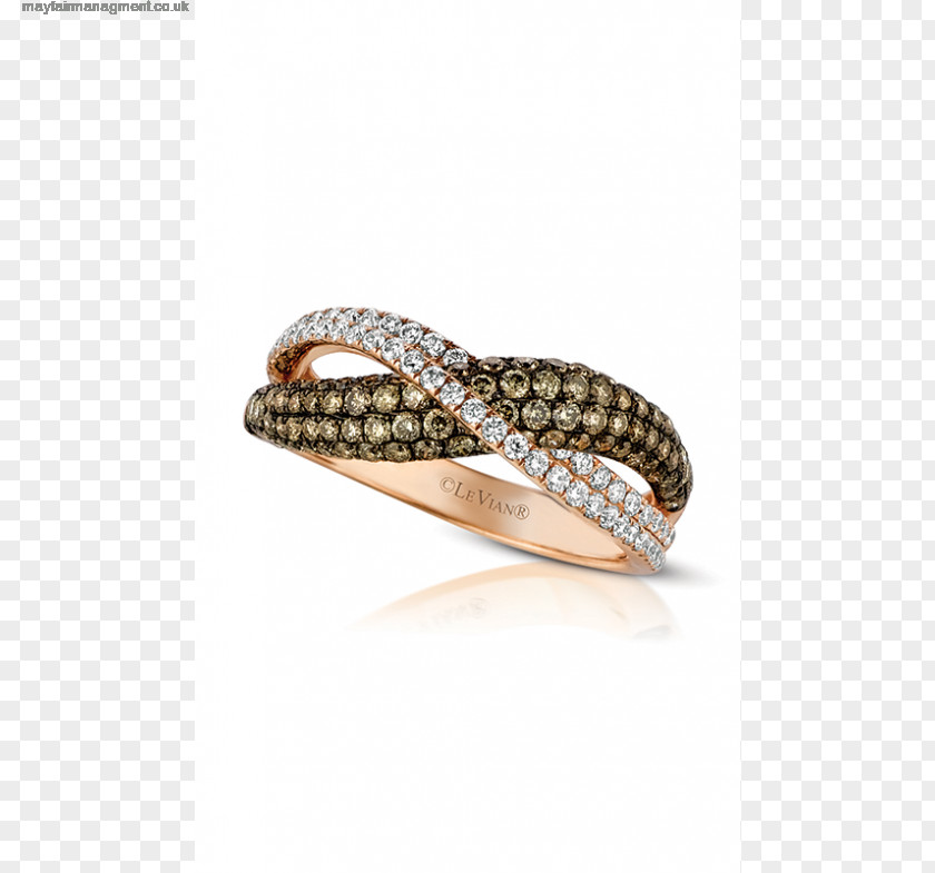 Silver Bangle Brown PNG