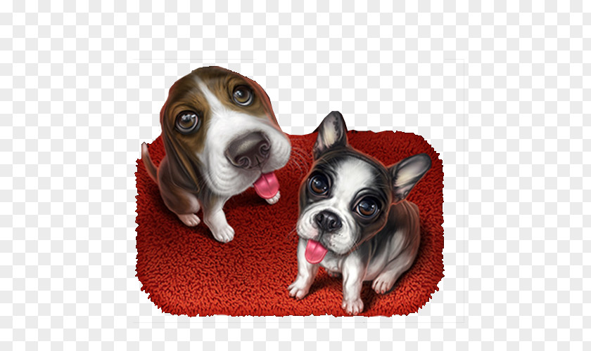 Two Lovely Dogs Boston Terrier French Bulldog Beagle Dog Breed Puppy PNG