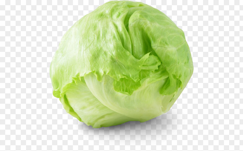 Vegetable Iceberg Lettuce Organic Food Salad Grocery Store PNG