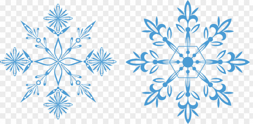 Blue Snowflake Euclidean Vector PNG