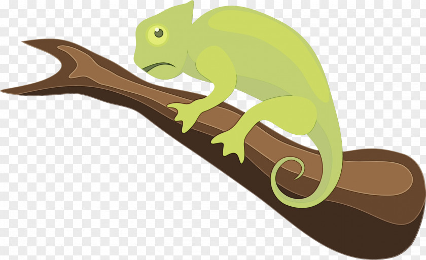 Chameleon Tail Animal Figure Squirrel PNG