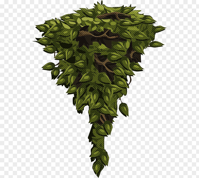 Fern PNG