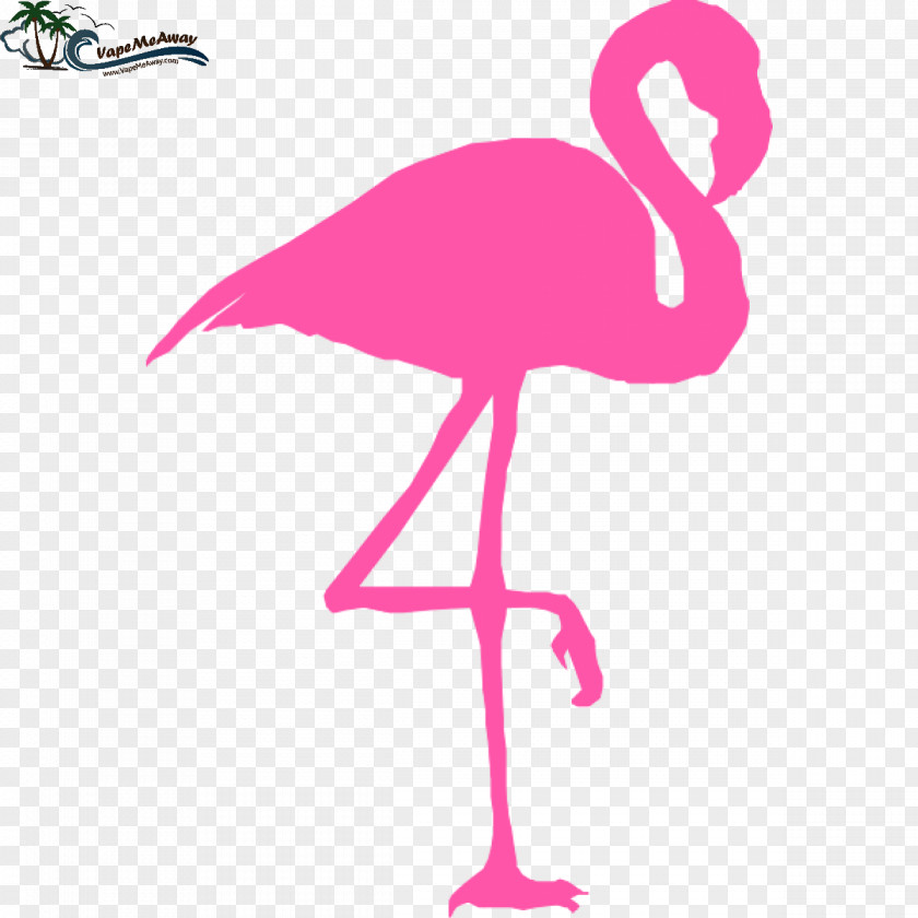 Flamingo Pink Clip Art PNG