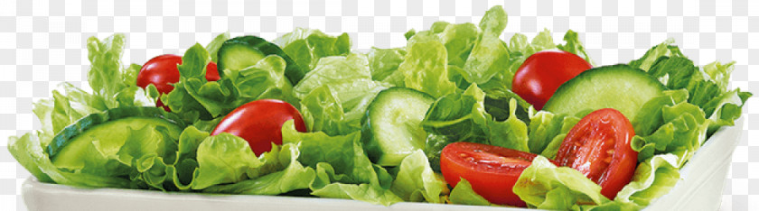 Garden Salad Caesar Stuffing Vinaigrette Spinner PNG